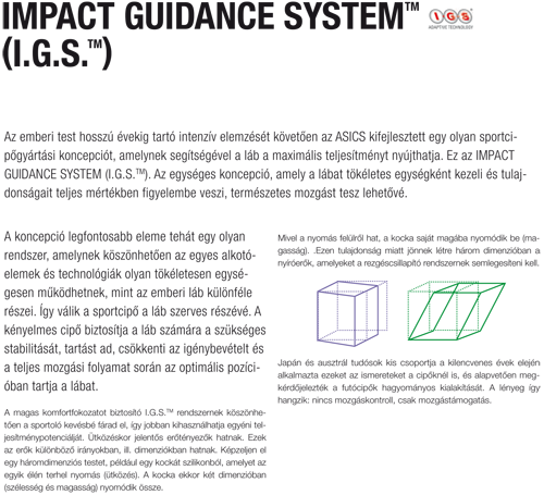 Impact Guidance System ( I.G.S.)